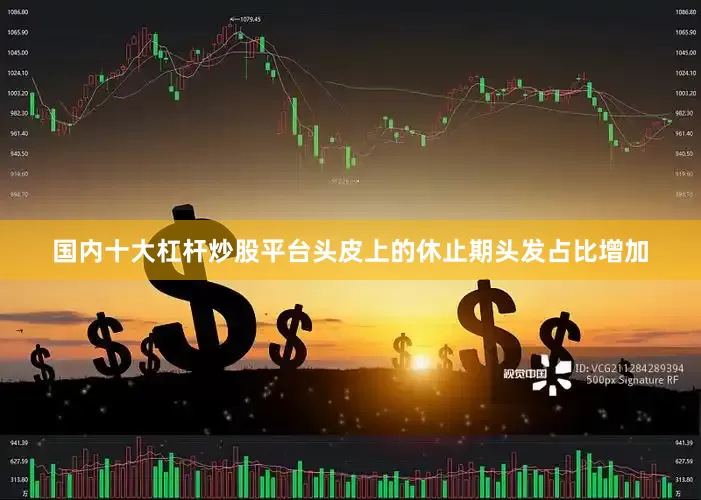 国内十大杠杆炒股平台头皮上的休止期头发占比增加