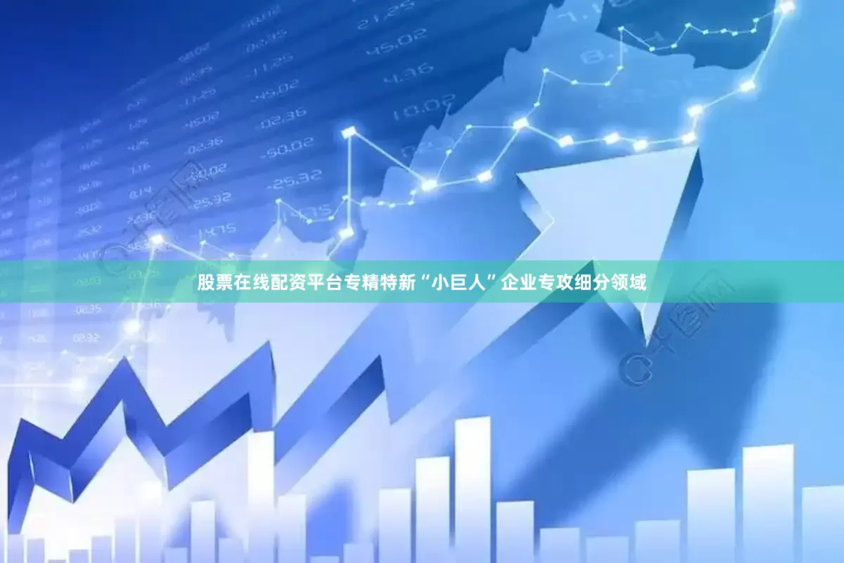 股票在线配资平台专精特新“小巨人”企业专攻细分领域
